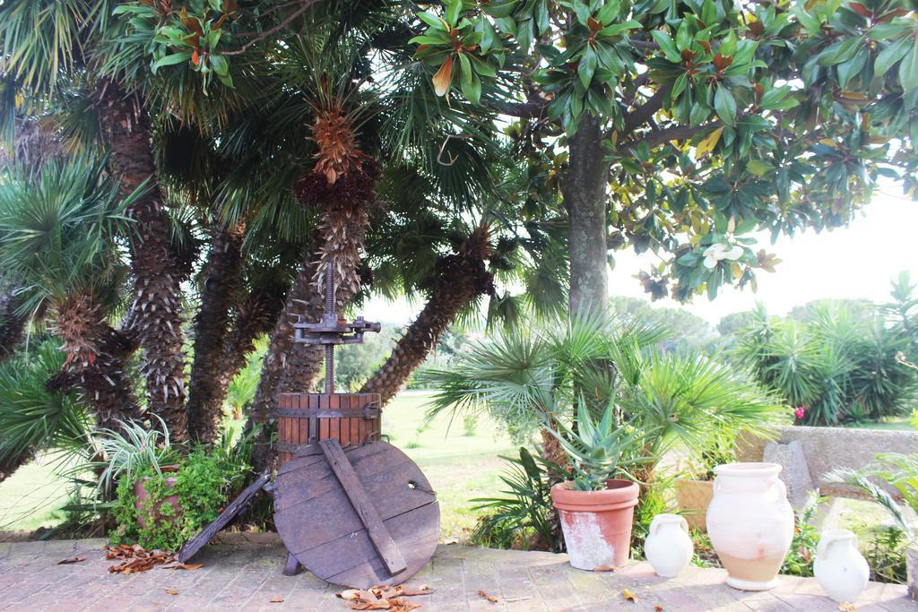 Guest House Villa Di Judighes เชร์เวเตรี ภายนอก รูปภาพ