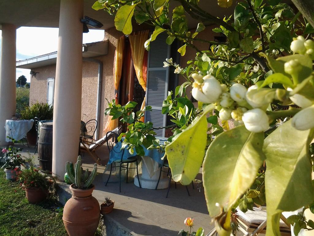 Guest House Villa Di Judighes เชร์เวเตรี ภายนอก รูปภาพ