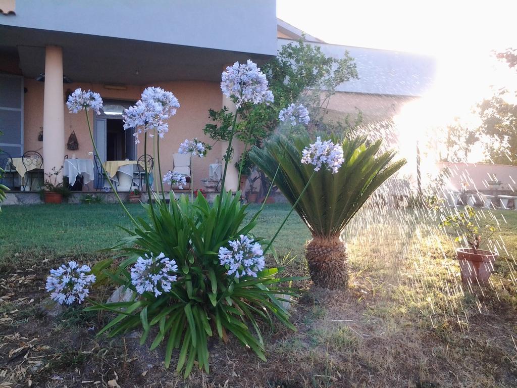 Guest House Villa Di Judighes เชร์เวเตรี ภายนอก รูปภาพ